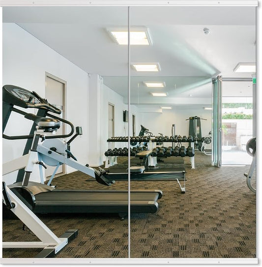 Delma Home Gym Mirror by Delma