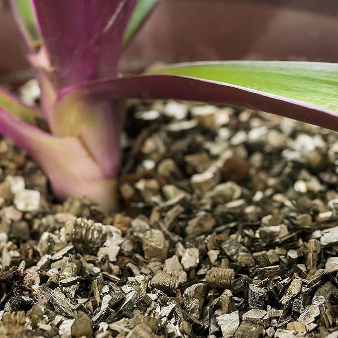 Horticultural Organic Vermiculite by GARDENERA - Medium Grade - Natural Soil Additive for Potted Plants, Orchids, Hydroponics, Terrariums (2 Quart)