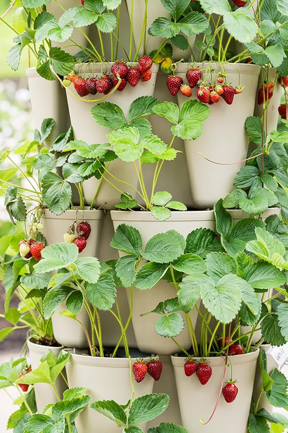 Greenstalk Patented Large 5 Tier Vertical Garden Planter with Patented Internal Watering System Great for Growing a Variety of Strawberries, Vegetables, Herbs, & Flowers (Stunning Stone)