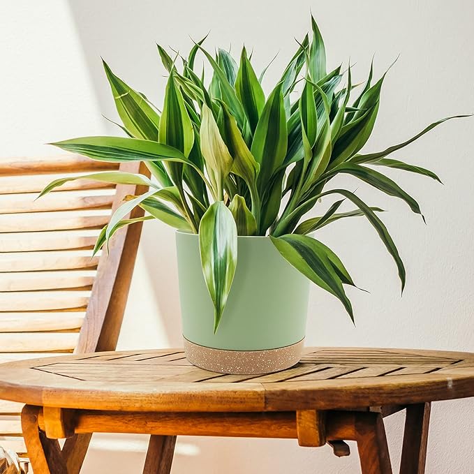 QCQHDU 8 inch Plant Pot, 2 Pack Planters for Indoor Plants with Drainage Holes & Saucer, Outdoor Flower Pots Home Garden Modern Decor