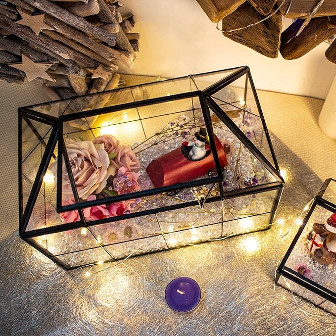 Ferrisland Glass Terrarium Greenhouse House Shape Display Box Planter for Succulents Plant Terrarium Container Mordern Tabletop Decor Gardern DIY Kit