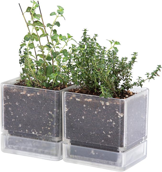4 Inch Herb Planter Pot, Plastic Planter with Drainage Holes and Saucer, Modern Decorative Gardening Pot for Indoor Plants, Flowers, Herbs, Succulents, Clear, Set of 2, 76-Y-D-2