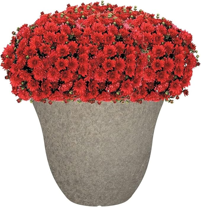 Classic Home and Garden Honeysuckle Resin Flower Pot Planter, Stone Grey, 15"