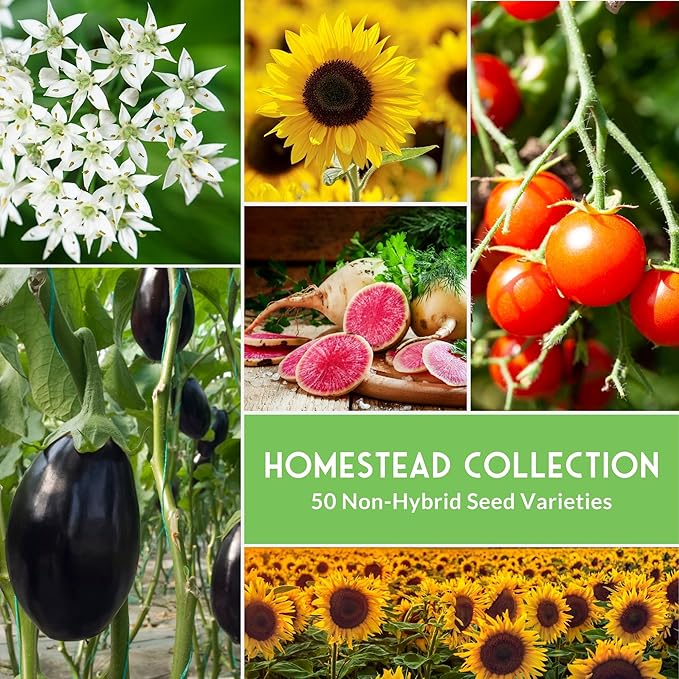 Survival Garden Seeds Homesteader Collection - 50 Packs Non-GMO Heirloom Vegetable, Fruit, Herb Seed Varieties for Growing a Victory Garden - Plant & Grow Survival Food - Emergency Preparedness Gear