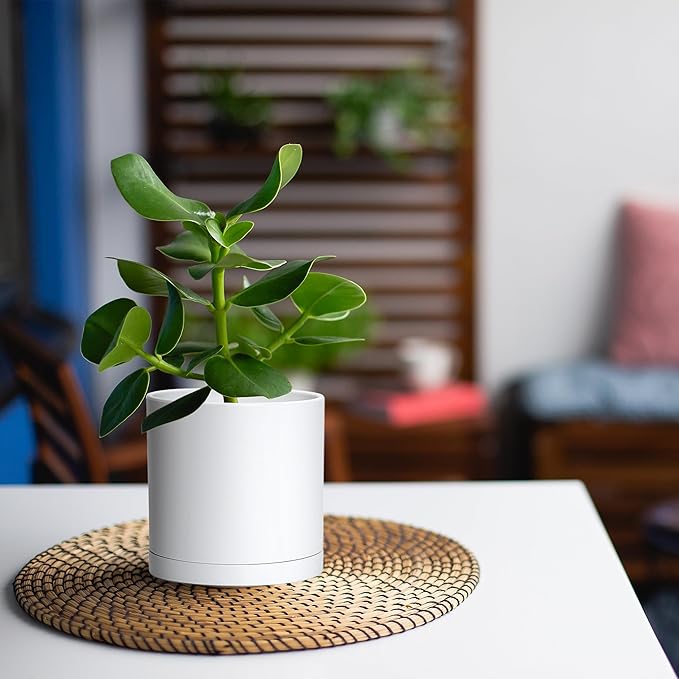 D'vine Dev 2 Pack 4.5 Inch Modern Plastic Plant Pots, Small Garden Planters for Plant with Drainage Holes and Saucers, White Color, 74-Z-F-1