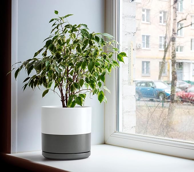 D'vine Dev 6 Inch & 8 Inch Ceramic Planter Pots for Plants with Drainage Hole and Saucer, Medium Plant Pots Set, White/Speckled Grey, 94-G-M-6