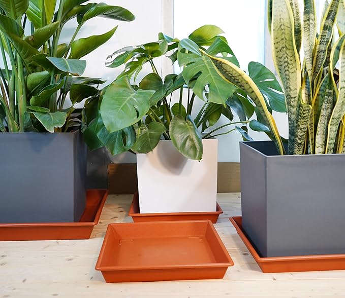 Square Plant Saucer 16 Inch 5 Pack, Plant Stand Plant Trays for Pots Heavy Duty Plastic Plant Saucers for Indoors Outdoors, No Holes Terracotta Plant Lover Gardening Gifts