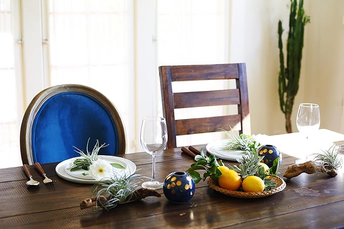 Shop Succulents | Assorted Collection for Home Décor, DIY Terrariums Variety of Species, Tropical House Plant, 50-Pack, Mix