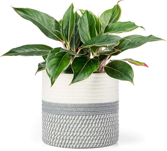 Dahey Jute Cotton Rope Plant Basket Mini Woven Storage Basket for Up to 7" Planter, Decorative Flower Pot Cover Closet Storage Bin Table Desk Organizer Modern Home Decor, Grey