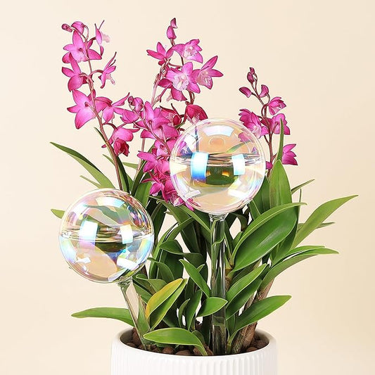 6.4 oz Medium Plant Self Watering Globes, Light Iridescent Glass Water Bulb for Indoor Plants While Away, Automatic Plant Waterer Self-Watering Stakes, Plant Thing for Plant Parents, 2 Pack