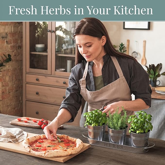 Barnyard Designs Indoor Herb Garden Planter Set with Tray, Metal Windowsill Plant Pots with Drainage for Outdoor or Indoor Plants, Set/3 (Galvanized)