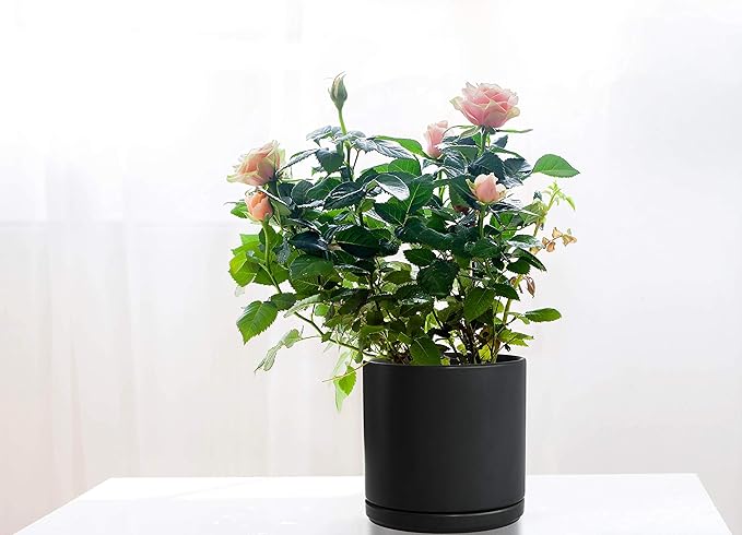 D'vine Dev 6 Inch Ceramic Planter Pot with Drainage Hole and Saucer, Indoor Cylinder Round Flower Pot, Black, 94-O-C-2