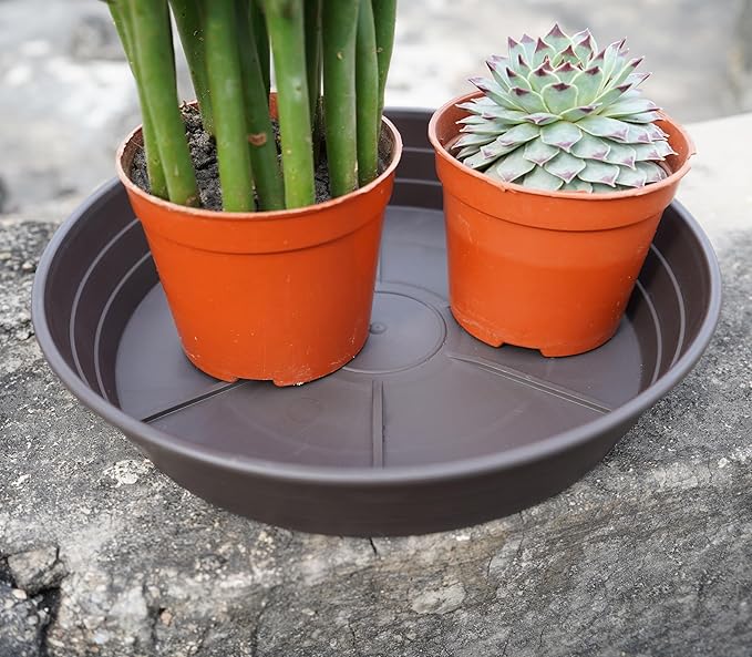 Plant Saucer 14 Inch 4 Pack 6 8 10 12 14 16 18 20 25, Plastic Plant Trays for Pots，Extra-Deep Plant Water Dray Tray, Bird Bath Bowl, Heavy Flower Plant Saucers Indoors and Outdoor No Holes