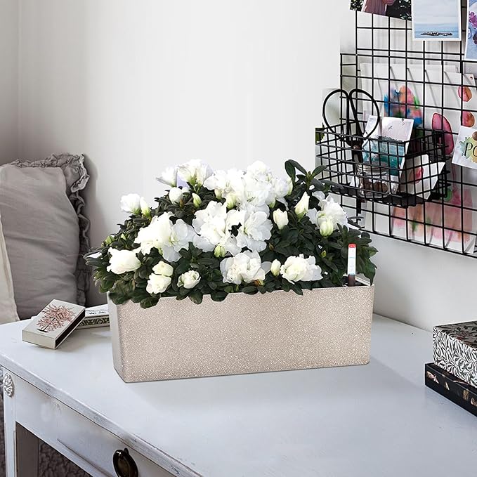 GardenBasix Elongated Self Watering Planter Pots Window Box 5.5 x 16 inch Indoor Home Garden Modern Decorative Planter Pot for All House Plants Flowers Herbs (Coffee,1-Pack)