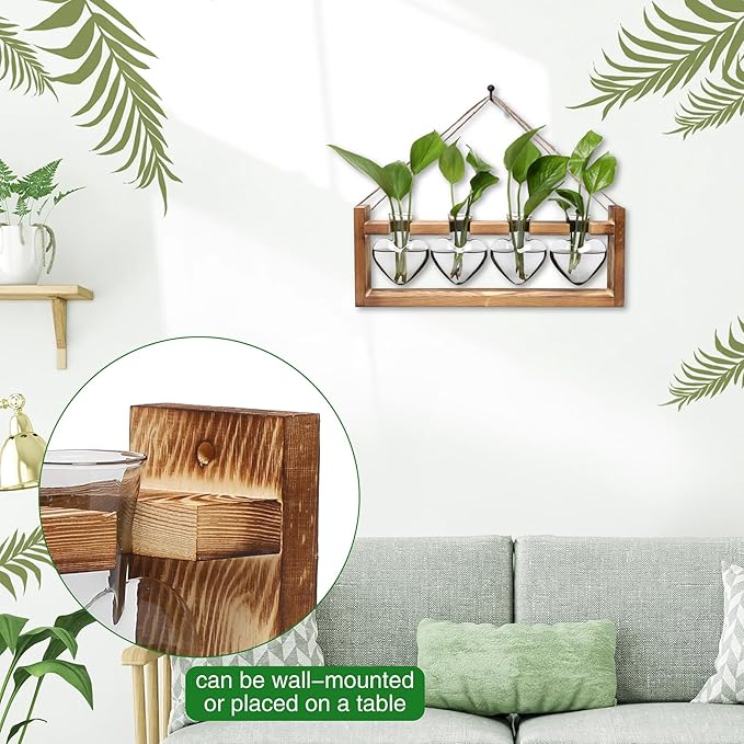 Plant Propagation Stations Heart Plant Terrarium Kit Gift for Women Plant Lover Glass Vases