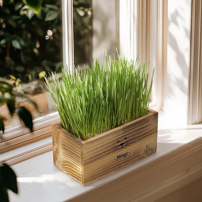Organic Cat Grass for Indoor Cats - 4X Seed Packets | Pet Cat Grass Kit for Growing Wheat Grass w Planting Seeds, Tools & Planter