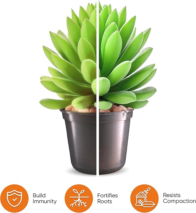 Molly's Succulent Mix - Premium Gritty Soilless Potting Mix for Succulents, Cactus and Bonsai - Contains Akadama, Hyuga, Bark Fines, Pumice, Lava Rock, Mycorrhizae 5 Dry Quarts