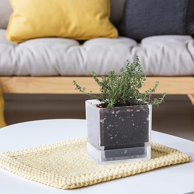 4 Inch Herb Planter Pot, Plastic Planter with Drainage Holes and Saucer, Modern Decorative Gardening Pot for Indoor Plants, Flowers, Herbs, Succulents, Clear, Set of 6, 76-Y-D-6