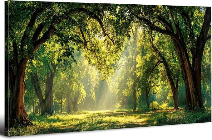 Forest Canvas Wall Art for Living Room Nature Landscape Pictures Wall Decor by HOME