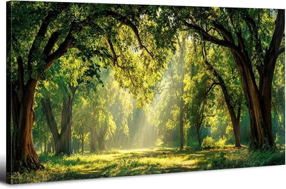 Forest Canvas Wall Art for Living Room Nature Landscape Pictures Wall Decor by HOME