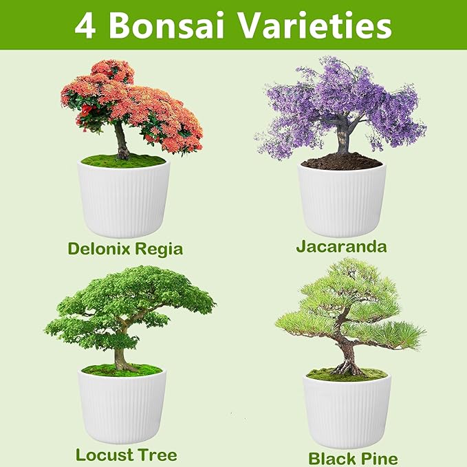 Bonsai Tree Kit, Bonsai Starter Kit with 4 Bonsai Tree Seeds, Tools & Planters, Bonsai Tree Live Plants Indoor, Gardening Gifts for Women Men Mom Father Plant Lover, Unique Christmas Gifts