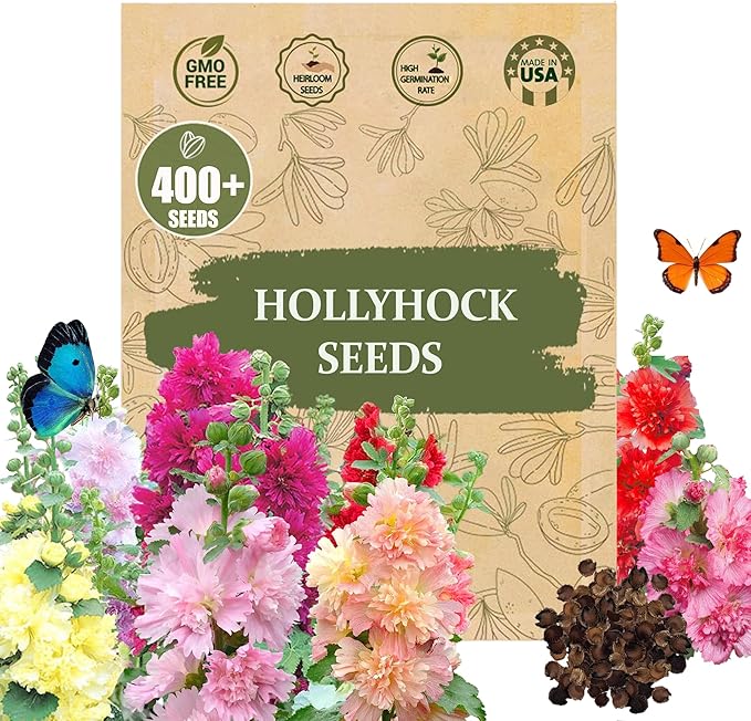 Premium Rare Hollyhock Seeds – 400+ Queeny Dwarf Hollyhock Flower Seeds – Non-GMO, Heirloom Perennial – Showy Blooms for Outdoor Planting (Queeny Hollyhock)