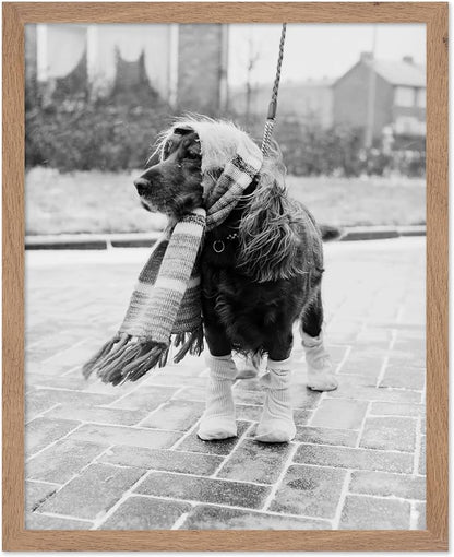 Poster Master Vintage Dog Dressed by PosterMaster