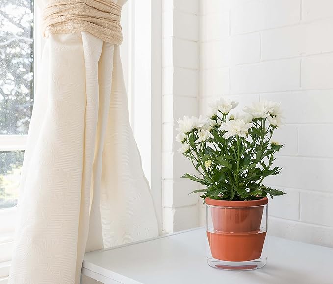 D'vine Dev 4 Inch Design Self Watering Pot for Indoor Plants, Terracotta Planter with Cylinder Glass Cup, Set of 4, 37-Z-A-1-F