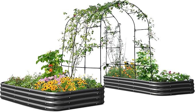 KING BIRD Raised Garden Bed with Arched Trellis Galvanized Planter Garden Box Outdoor for Gardening, Climbing Vegetables, Flowers 7.87x3.94x0.98 Ft 2PCS, Dark Grey