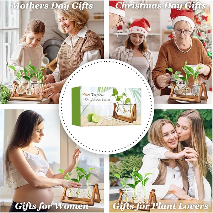 Plant Propagation Station, Plant Terrarium with Wooden Stand, Unique Gardening Birthday Gifts for Women Plants Lovers, Home Office Garden Decor Planter - 3 Bulb Glass Vases