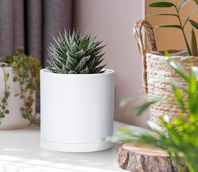 D'vine Dev 4 Pack 4 Inch Modern Plastic Plant Pots, Small Garden Planters for Plant with Drainage Holes and Saucers, White Color, 74-Z-E-2