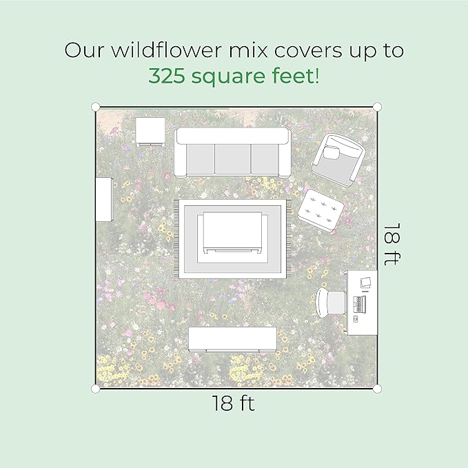 Created By Nature Maine Wildflower State Mix, 15 Flower Varieties, 50,000 Seeds