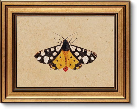VIYYIEA Vintage Gold Framed Wall Art by VIYYIEAART