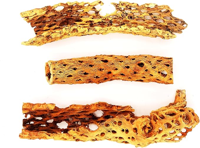 Natural Cholla Wood Chunk Large Air Plant Display Holders Individually Unique Decorative Stands or Holder (Cholla Chunk Extra Large)