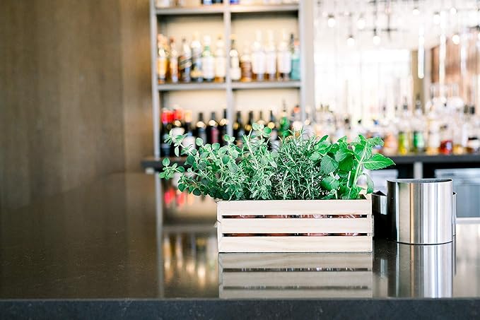 Wood Planter Box with Wine Crate Styled, 12x4 Inch Rectangular, Rose Wood, Plastic Liner, Garden Centerpiece Display, Wedding Flowers Holder, Home and Venue Decor (12x4 Wine Crate Set of 4, Rose Wood)