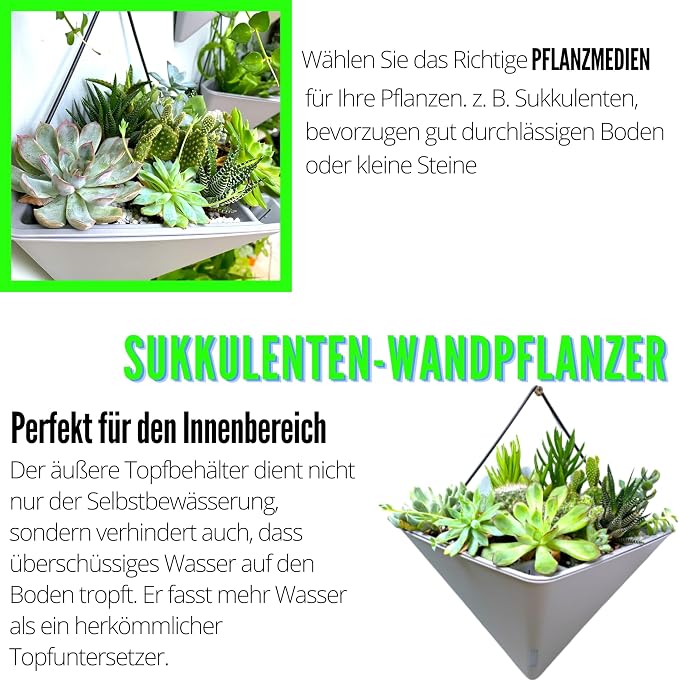 LaLaGreen Succulent Wall Planters - Image 5