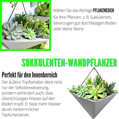LaLaGreen Succulent Wall Planters - Image 5