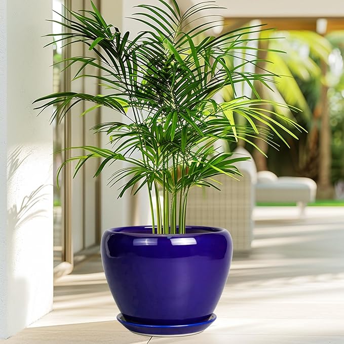 Ceramic Plant Pot 8 Inch - Planter for Outdoor Plants Indoor Plant Pot with Drainage Hole and Saucer Decorative Round Planter Modern Flower Pot for House Decor Blue
