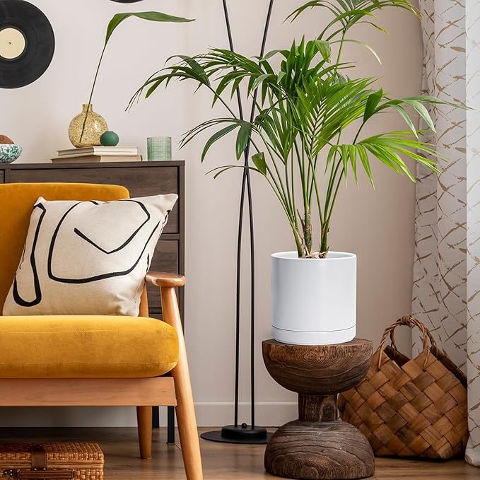 D'vine Dev 8 Inch Ceramic Planter Pot with Drainage Hole and Saucer, Indoor Cylinder Round Planter Pot, White, 94-O-D-1