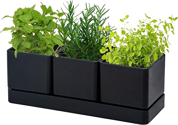 D'vine Dev Herb Garden Planter Set, Plastic Plant Pots with Drainage and Saucer, Indoor Succulent Cactus Vegetable Pot for Windowsill, Garden Balcony, Black, Set of 1, 76-V-B-1