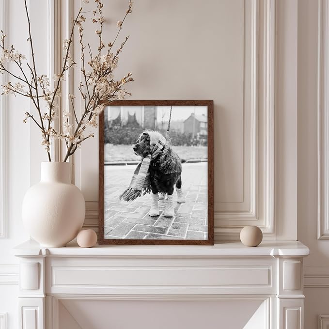 Poster Master Dog Dressed for Winter Print - Image 5
