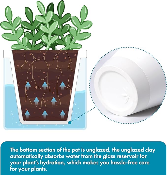 D'vine Dev 4 Inch Design Self Watering Planter for Indoor Plants, White Terracotta Pots with Cylinder Glass Cup, 37-X-A-2
