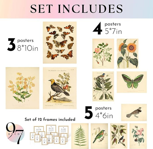 97 Decor Vintage Botanical Wall Art - Image 2