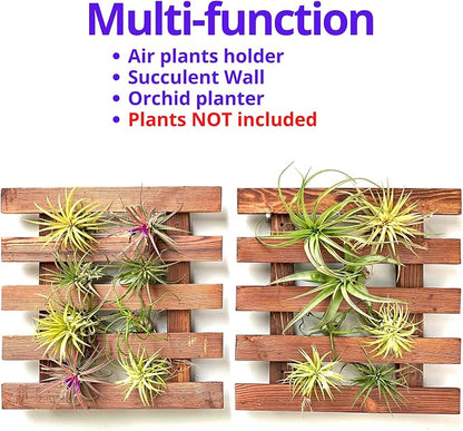 ShopLaLa Wall Planter - Image 6