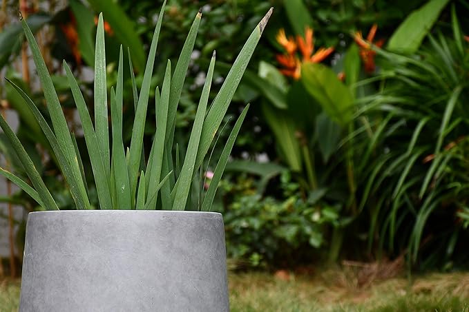 Kante 15.3" Dia Round Concrete Planter, Outdoor Indoor Large Plant Pots Containers with Drainage Hole and Rubber Plug for Home Garden Patio, Natural Concrete