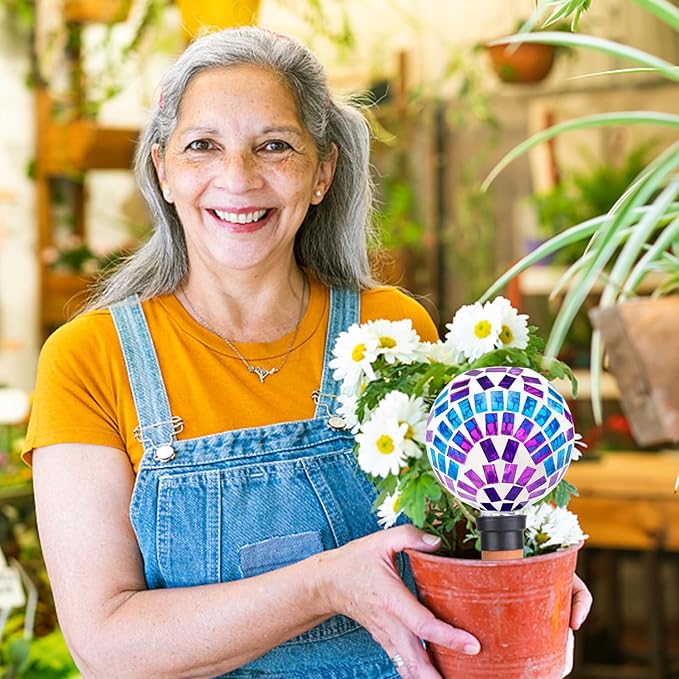 Plant Watering Globe Large Self Watering Globes 2 Pack for Indoor Outdoor Plants Self Watering Planter Insert Watering Devices for Plant Lover Gifts