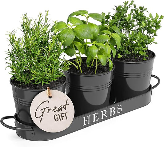 Barnyard Designs Indoor Herb Garden Planter Set with Tray, Metal Windowsill Plant Pots with Drainage for Outdoor or Indoor Plants, Set/3 (Black)