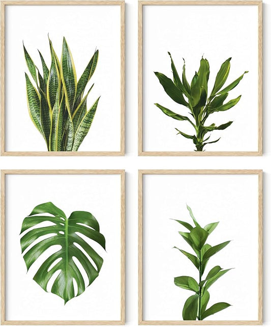 HAUS AND HUES Plant Wall Art by HausandHuesArtPrints