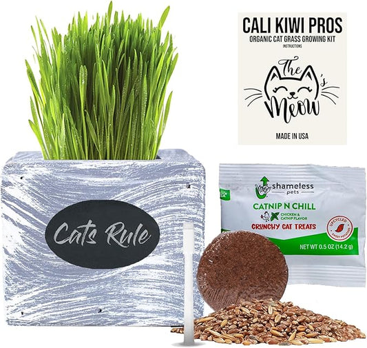 Cat Grass for Indoor Cats Kit – Organic Wheatgrass Seed & Soil, Hairball Remedy in Red Cedar Planter, Gift Box with Bonus Label, Pen & 10% Cat Treats Discount (White)