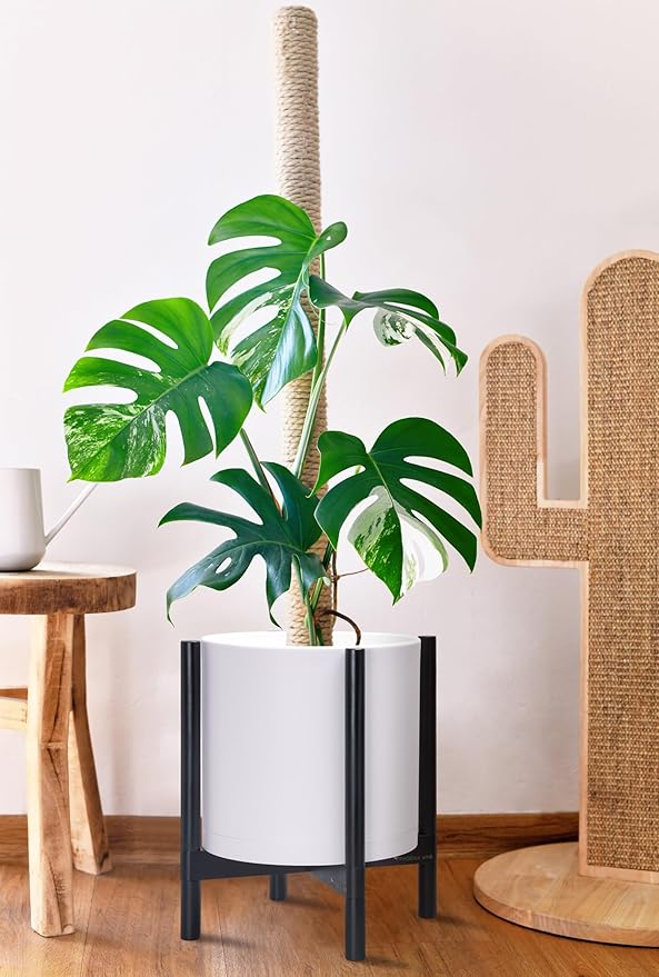 D'vine Dev Planter Pot with Stand - 14 Inch Plastic Cylinder Flower Pot with Wood Planter Holder for Indoor, Matte White Pot + Ebony Stand, 55-C-T-1